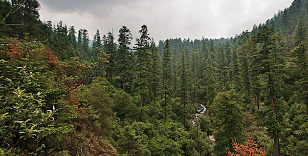 Panorámica de Los Dinamos